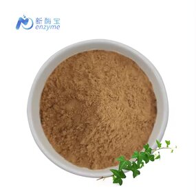 Hedera Helix Extract Powder Manufacturer - Supply Ivy Leaves Extract Hederacoside C 10%