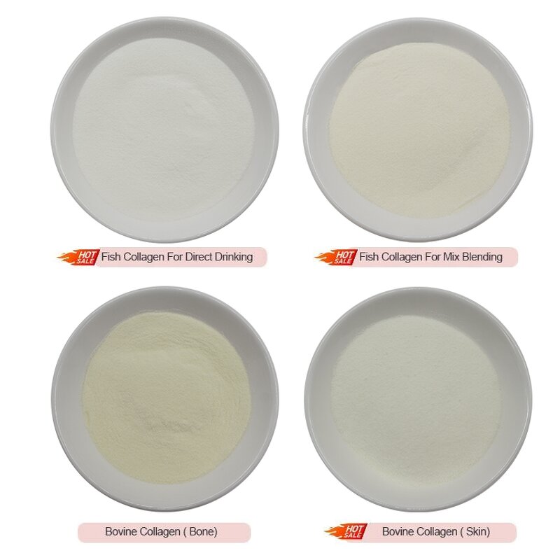 Collagen Peptides Powder Manufacturer - OEM Private Label Hydrolyzed for Drink