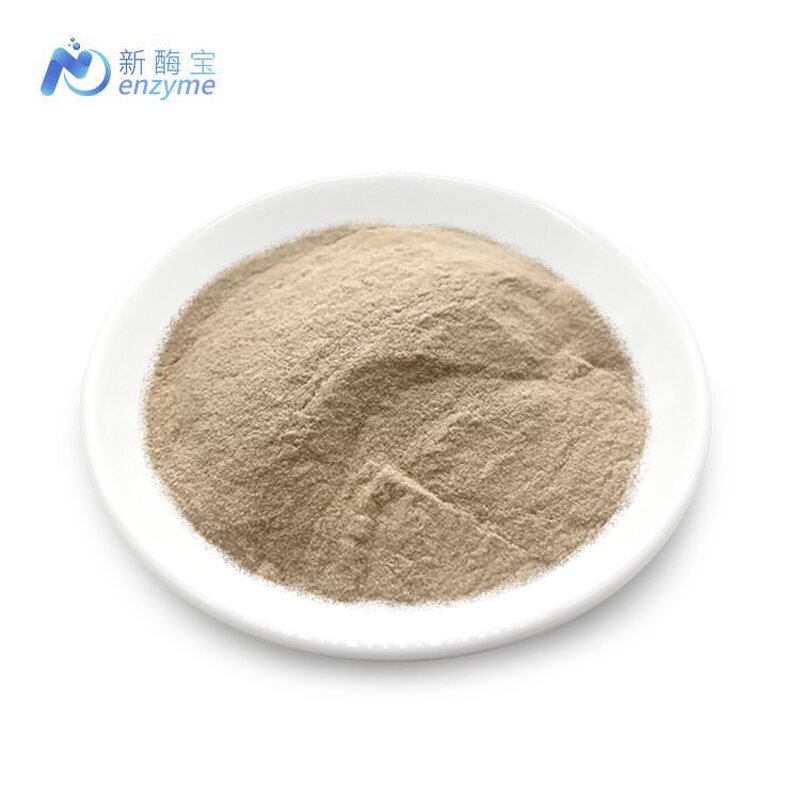 Acid Protease Manufacturer - Supply Natural Enzyme