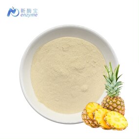 Bromelain Enzyme Manufacturer - Supply Organic Natural Pineapple 50000u/g