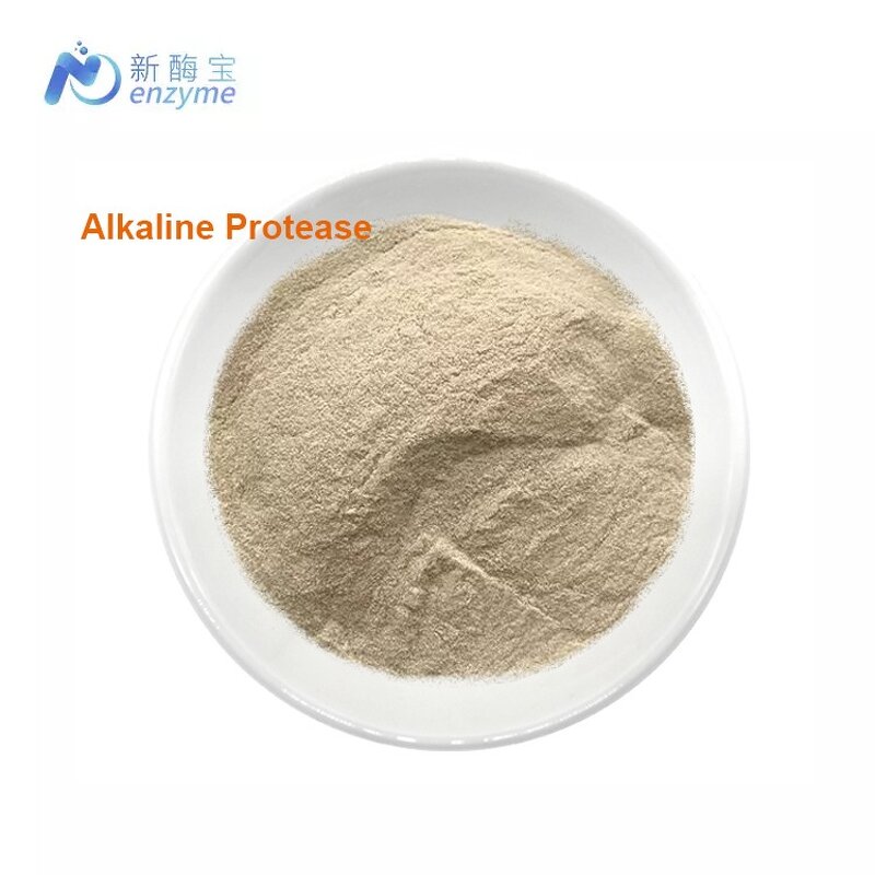 Alkaline Protease Manufacturer - Wholesale Bulk Price Enzyme for Detergents