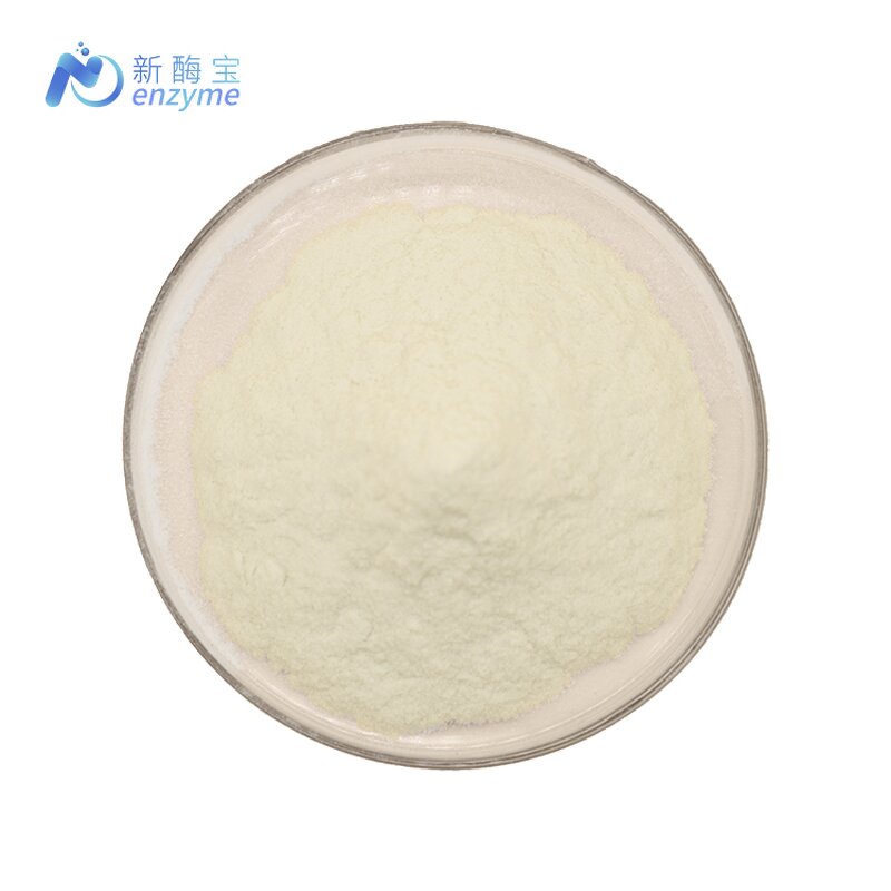 Catalase Enzyme Powder Manufacturer - Wholesale Factory Price Bulk