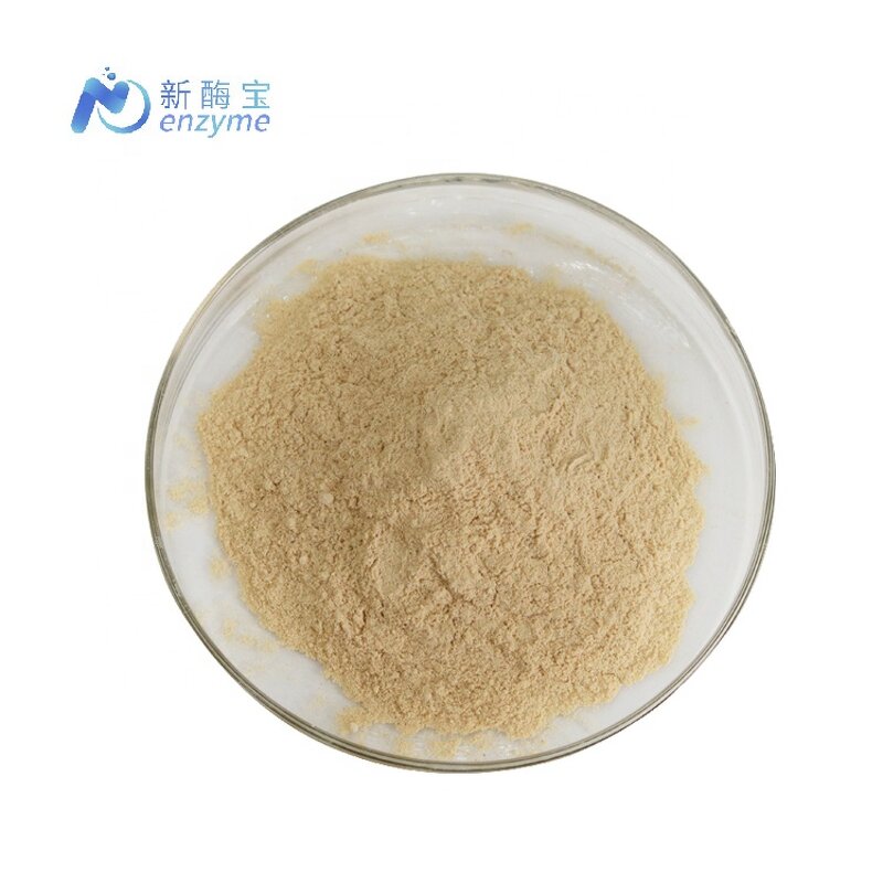 Yeast Protein Powder Manufacturer - High Quality Feed Additives Single Cell