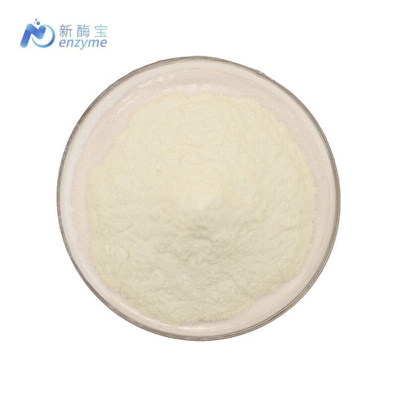 Xylanase Enzyme Powder Manufacturer - Wholesale Price Bulk Food Grade Food Enzymes