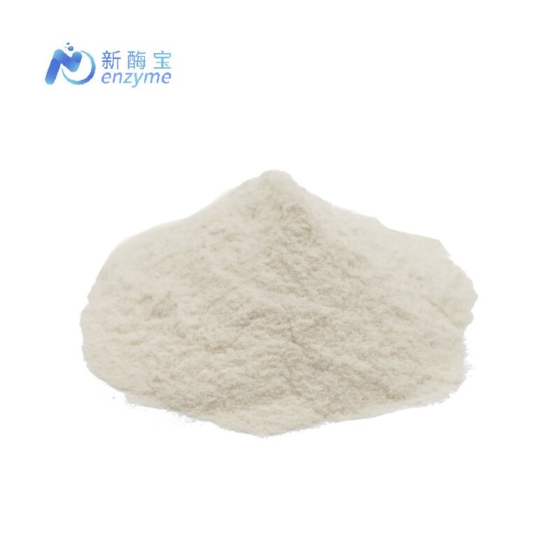Nuclease Enzyme Powder Manufacturer - Supply Bulk Food Additives Raw Material
