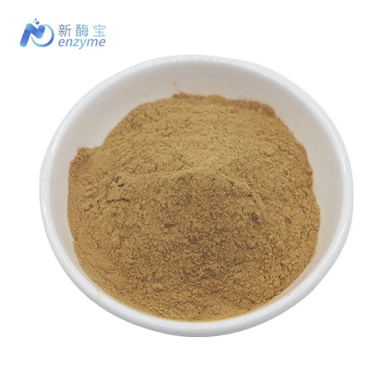 Turkesterone Powder Manufacturer - Wholesale Bulk Best Price 2% Ajuga Turkestanica Extract