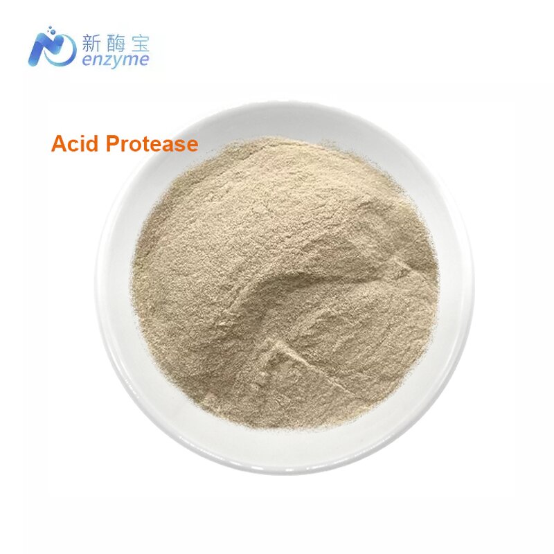 Acid Protease Manufacturer - Supply Natural Enzyme