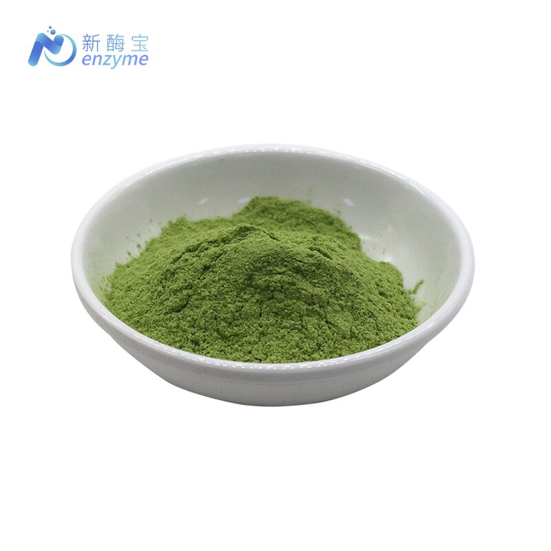 Kale Powder Manufacturer - Private Label Natura Bulk Organic