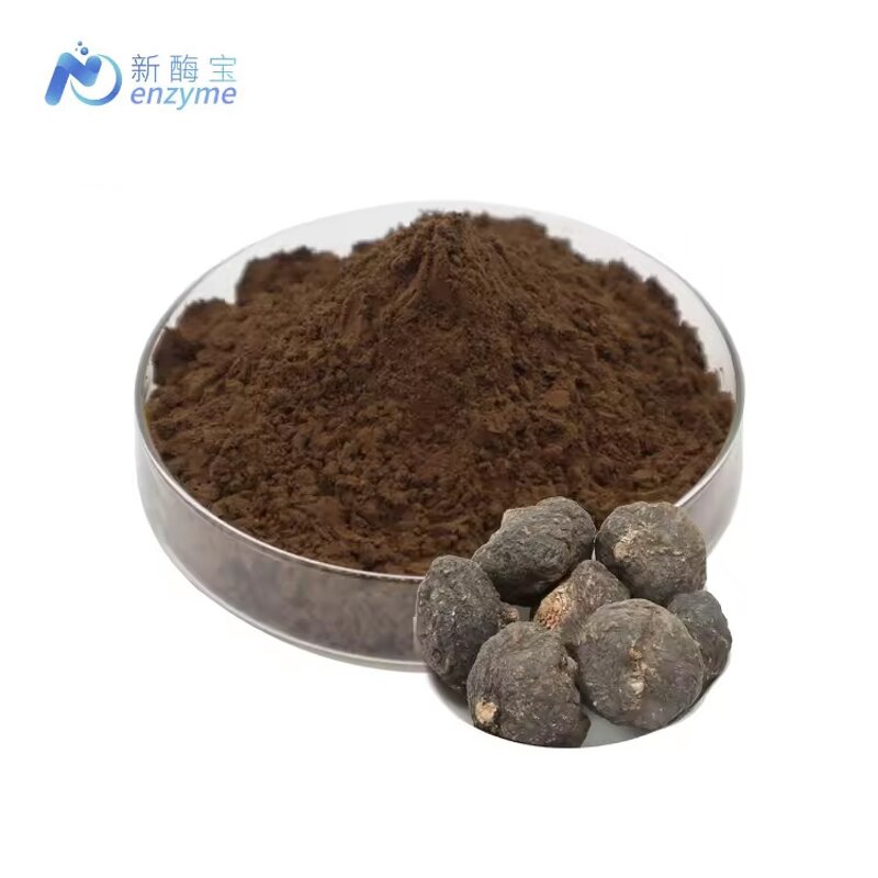 Black Maca Root Extract Powder Manufacturer - Wholesale Price 100% Natural