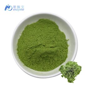 Kale Powder Manufacturer - Private Label Natura Bulk Organic