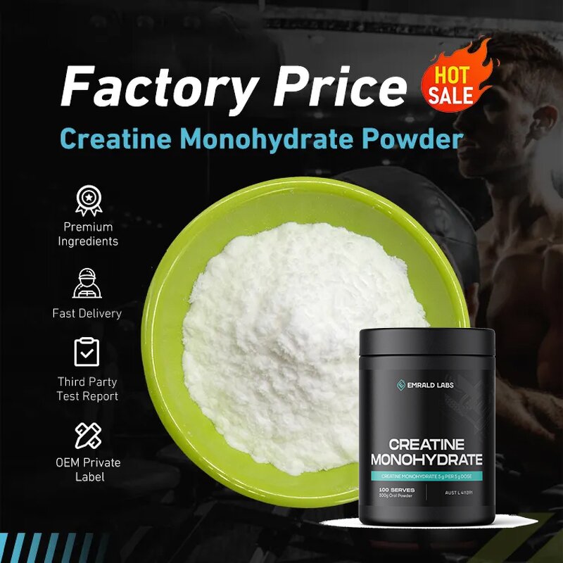 Creatine Monohydrate Powder Manufacturer - Supplier Wholesale OEM Pure in Bulk