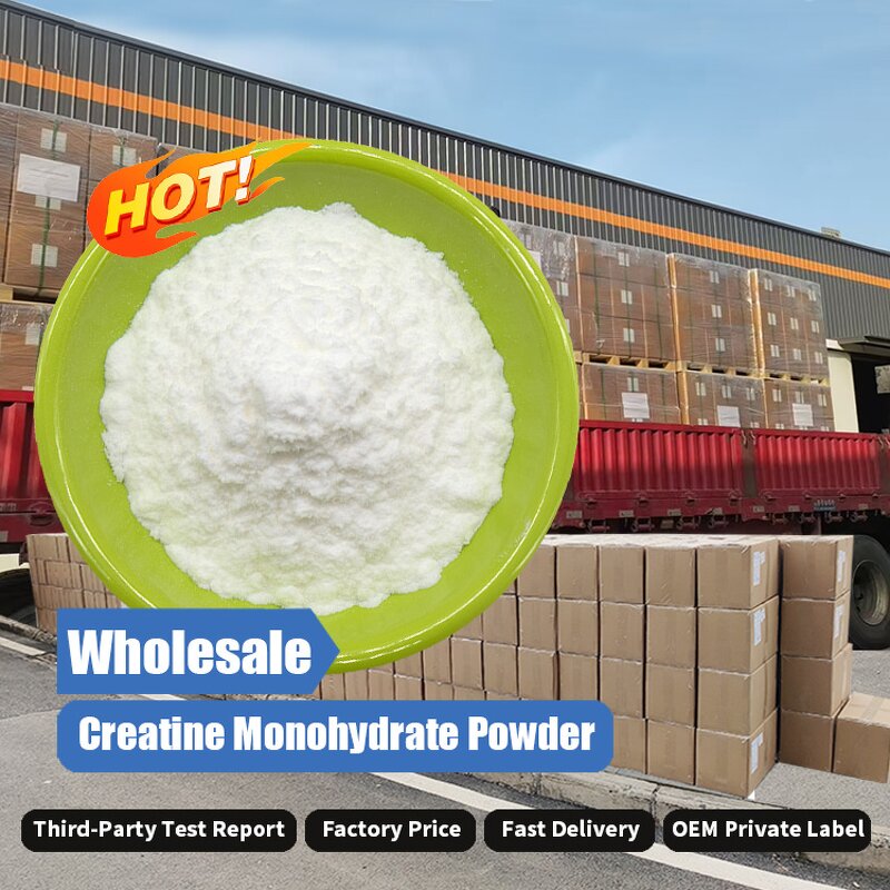 Creatine Monohydrate Powder Manufacturer - Supply Bulk 100% Pure 200 Mesh