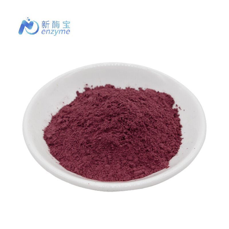 Hibiscus Flower Extract Manufacturer - Bulk 100% Organic Polyphenols Powder