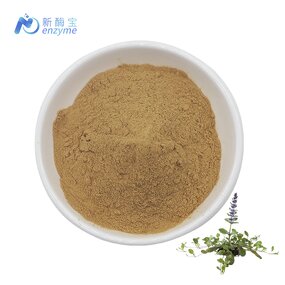 Turkesterone Powder Manufacturer - Wholesale Bulk Best Price 2% Ajuga Turkestanica Extract