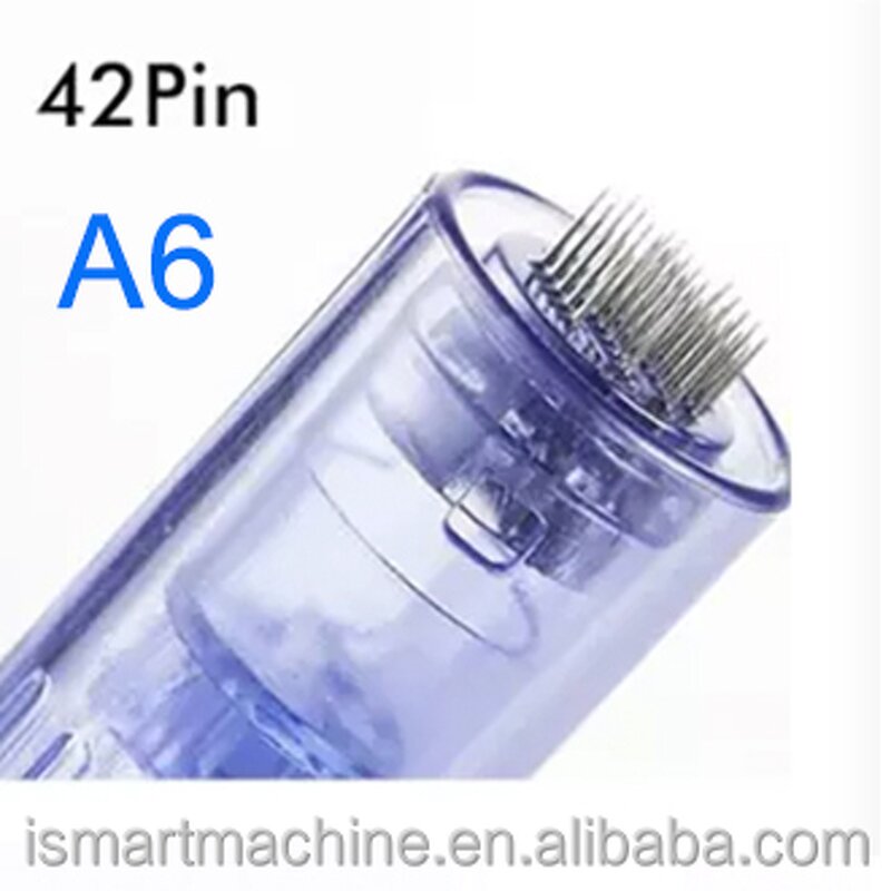Needle Tips Manufacturer - Free Shipping China Replacement for Derma A6