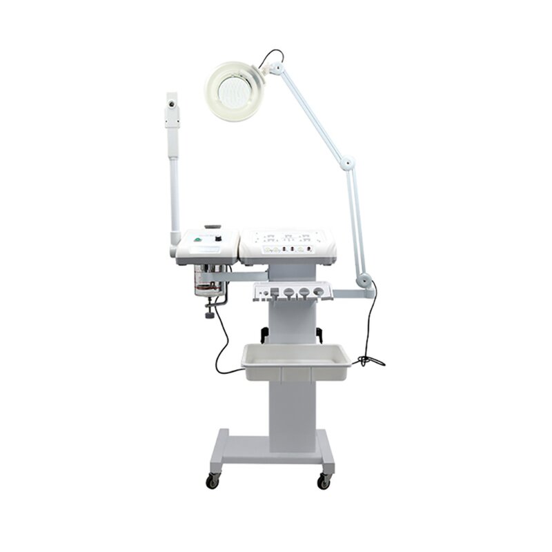 11 in 1 Galvanic Machine - 2023 Multifunction Salon Skin Rejuvenation Whiten RU 1315A