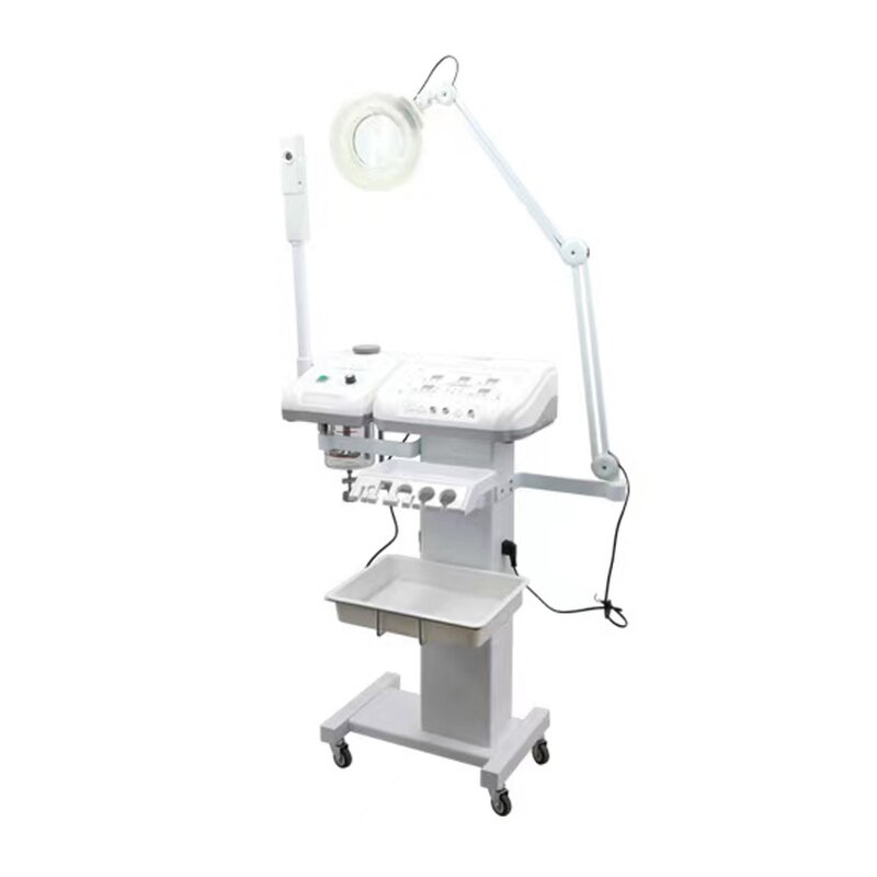 11 in 1 Galvanic Machine - 2023 Multifunction Salon Skin Rejuvenation Whiten RU 1315A