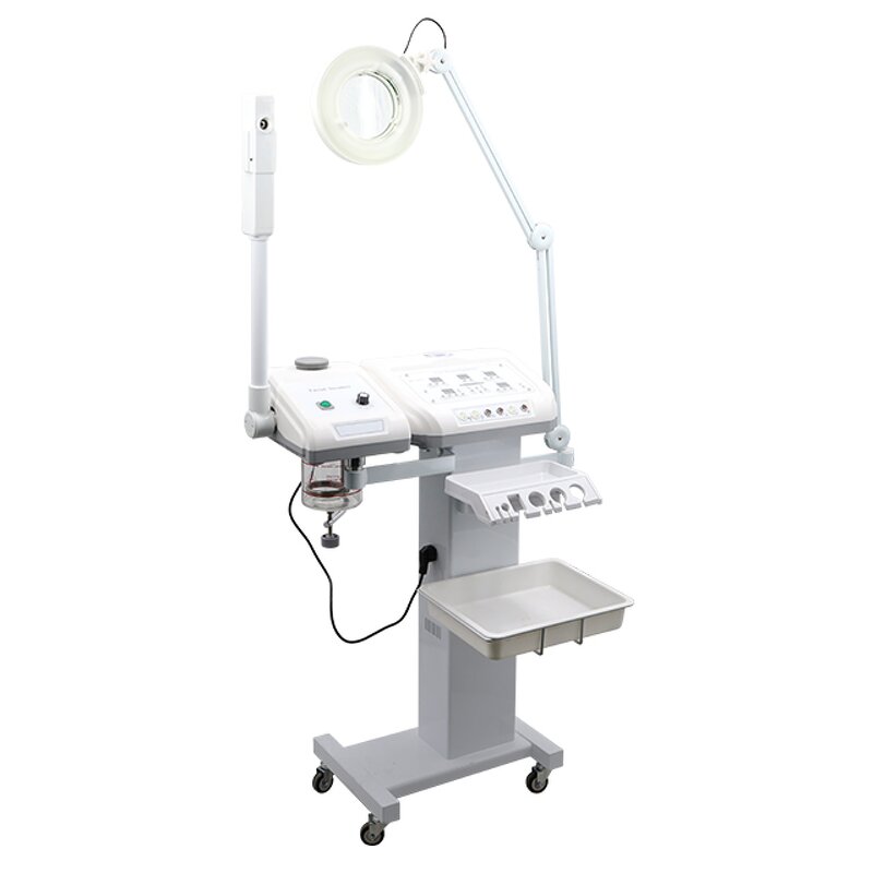 11 in 1 Galvanic Machine - 2023 Multifunction Salon Skin Rejuvenation Whiten RU 1315A