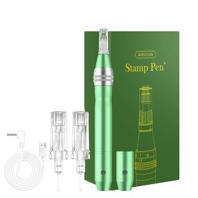 Dermapen Manufacturer - CE Approved Auto 2 Pcs Battery Anti-flow Microneedle Pen for Face Rejuvenation