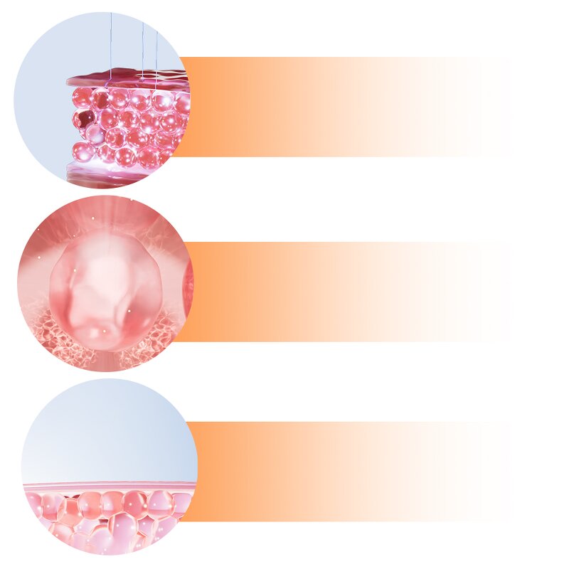 LED Light Therapy Machine Manufacturer - OEM Premium 7 Colors with PDT Infrared Belts for Muscle Pain