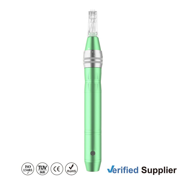 Dermapen Manufacturer - CE Approved Auto 2 Pcs Battery Anti-flow Microneedle Pen for Face Rejuvenation