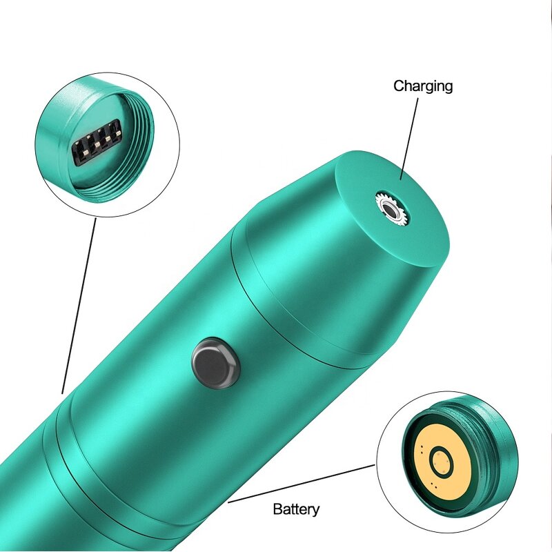 Derma Pen Manufacturer - Anti-Flow Electric Auto Stamp Titanium 2pcs Lithium Battery for Face US