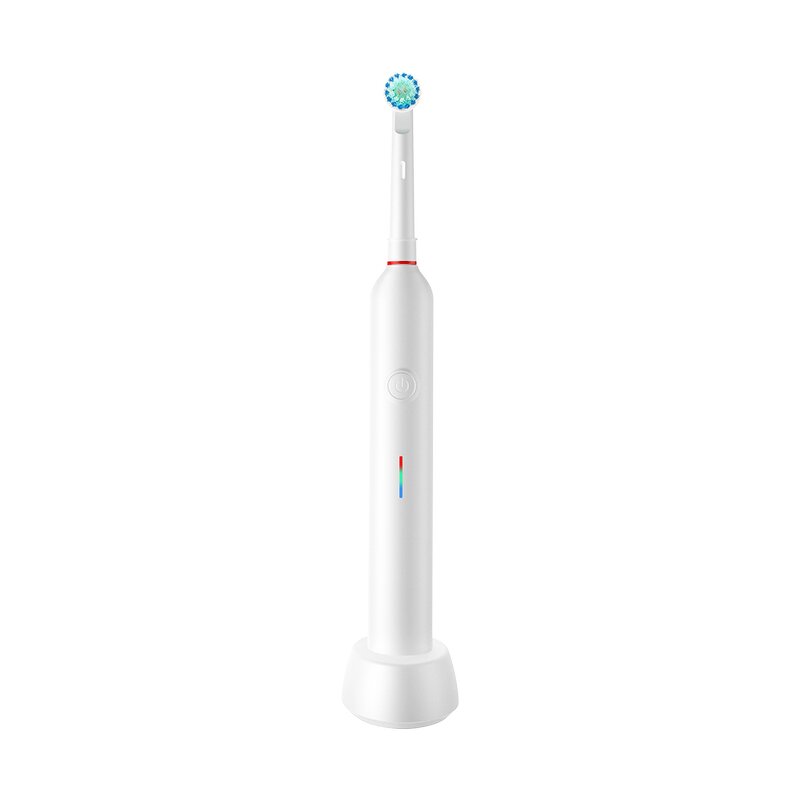 Sonic Electric Toothbrush - OEM Adults Oscillating Rotary Rechargeable Dental Tool