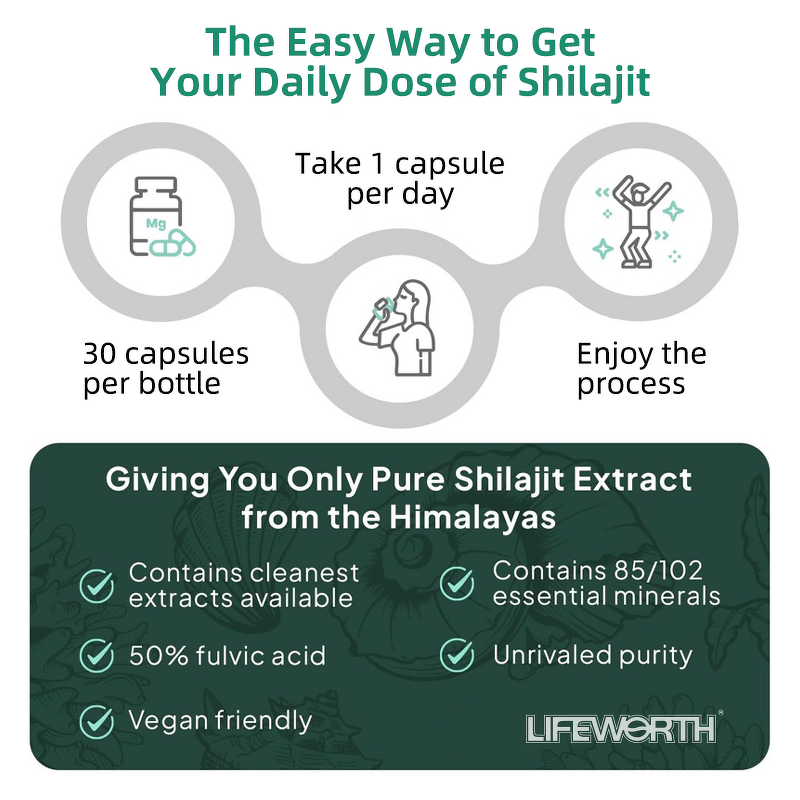 Shilajit Capsules - Vigo Acentiallabs Organic 60g Himalayan Immune Stamina