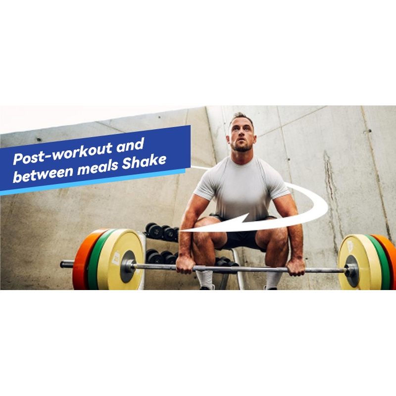 Whey Protein Powder - Vigo Sports Mass Gainer Zinc Creatine Weight Gain