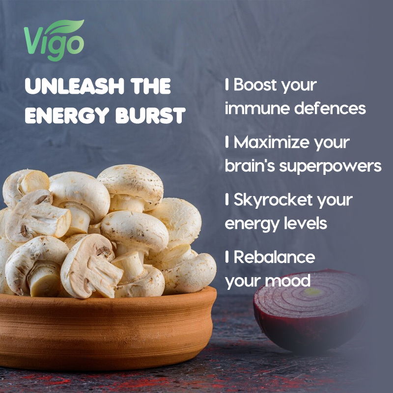 Mushroom Gummies - Vigo Custom Vegan Reishi Cordyceps Ashwagandha Lion's Mane