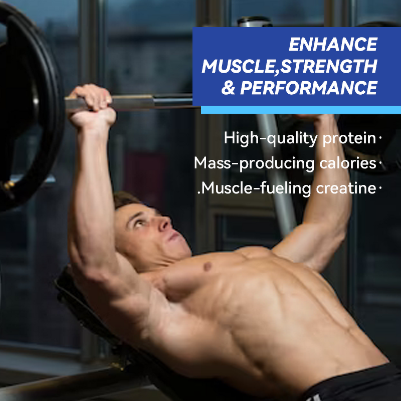 Whey Protein Powder - Vigo Sports Mass Gainer Zinc Creatine Weight Gain