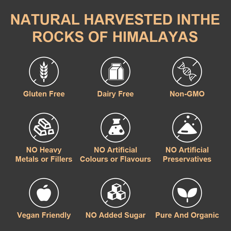 Shilajit Capsules - Vigo Pure Himalayan 85% Fulvic Acid 125 Servings