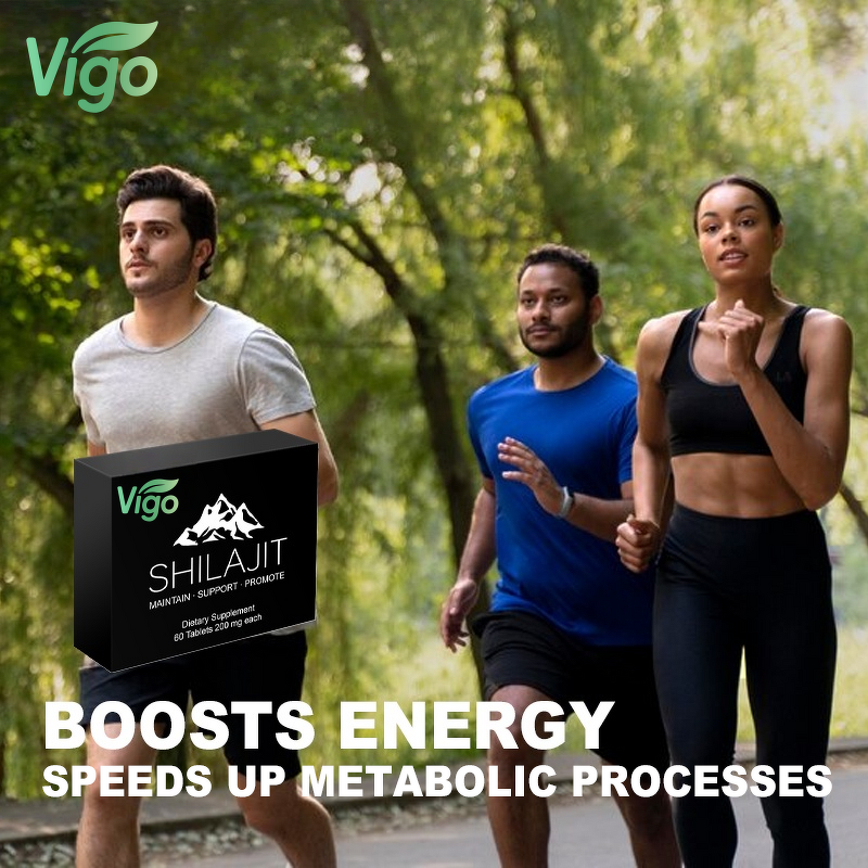 Shilajit Supplement - Vigo 3 in 1 Pure Himalayan Ashwagandha Gold Tablet