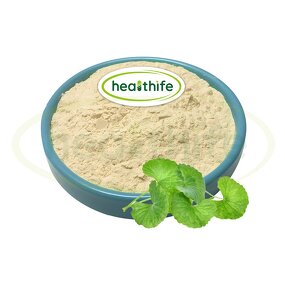 Centella Asiatica Extract Manufacturer - HPLC 10% Asiaticoside Powder