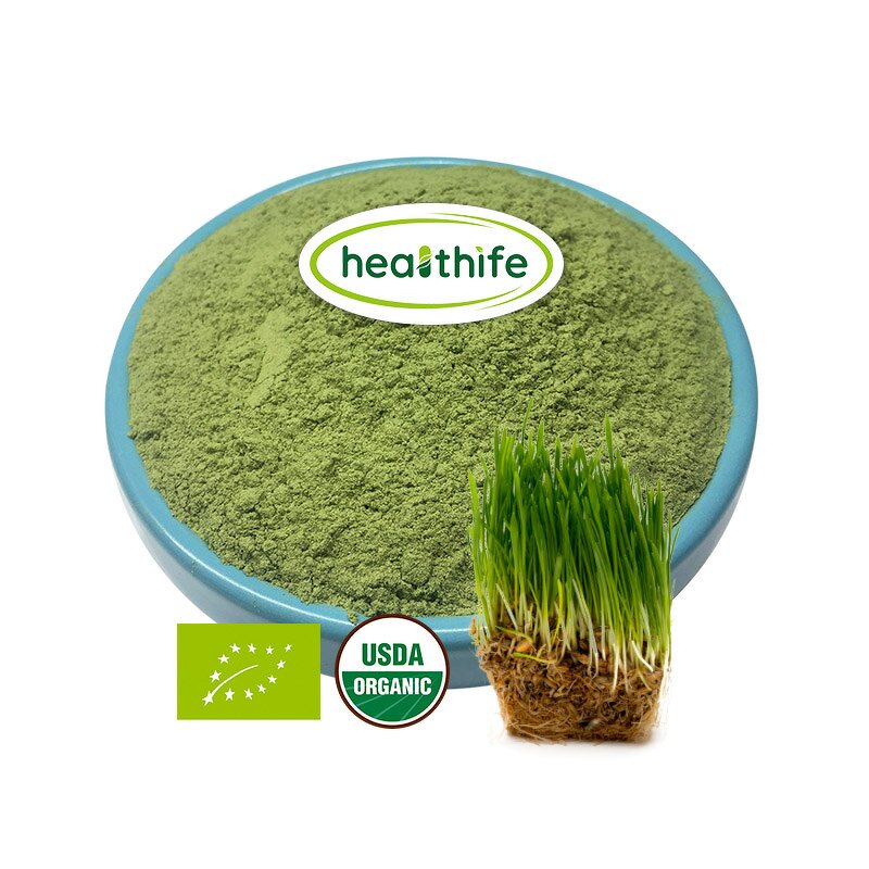Wheat Grass Powder Manufacturer - EU & NOP Certified Organic