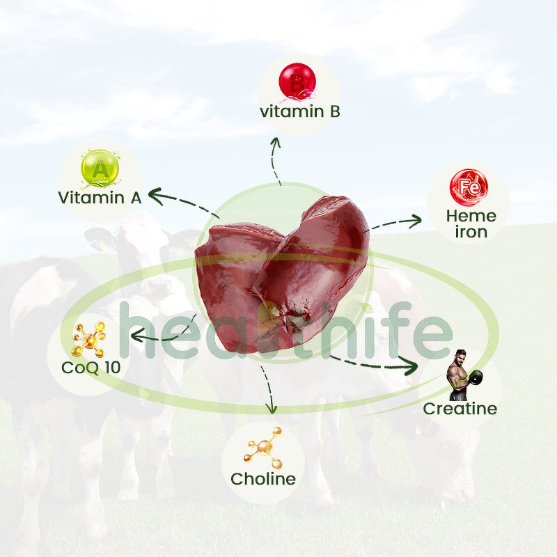 Beef Liver Powder Manufacturer - Grass Fed Pure Bovine Liver Extract