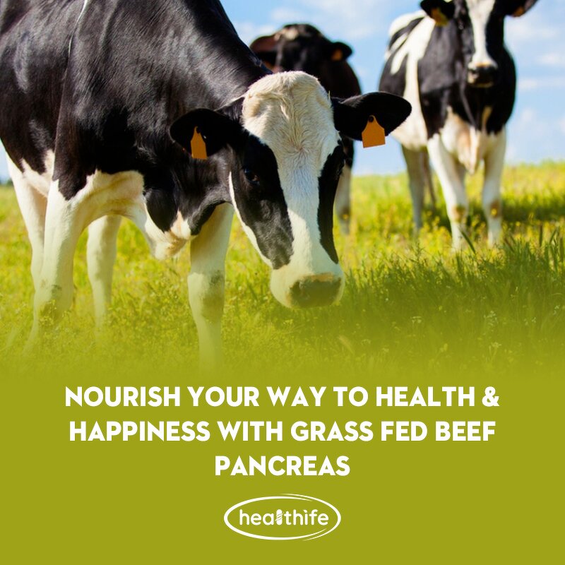 Beef Pancreas Capsules Manufacturer - OEM Grass Fed Dietary Supplement