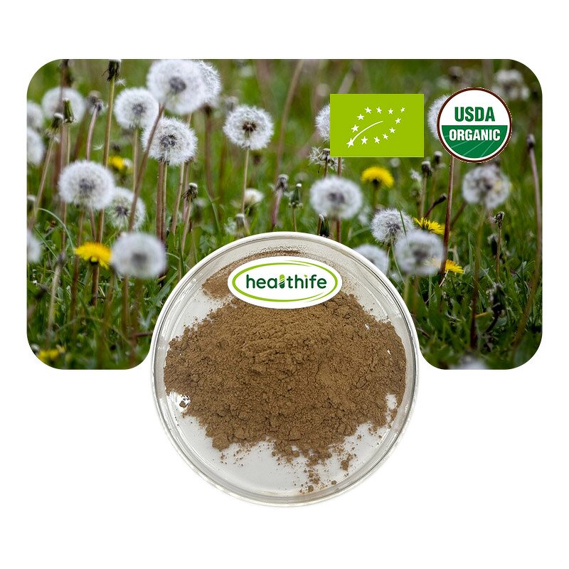 Dandelion Root Powder Manufacturer - 80 Mesh NOP & EU Organic Fast Delivery