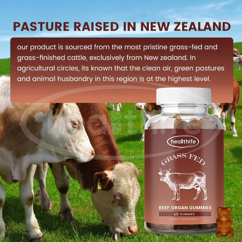 Beef Organ Gummies Manufacturer - OEM 60gummies Bottle New Zealand Grass Fed