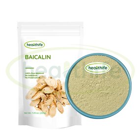 Baicalin Powder Manufacturer - 85% Scutellaria Baicalensis Extract