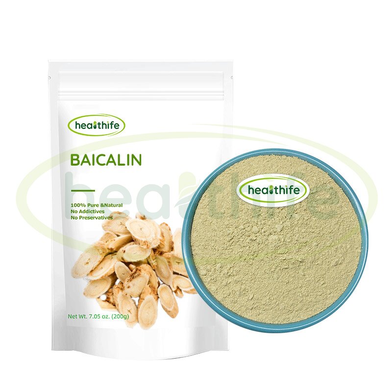 Baicalin Powder Manufacturer - 85% Scutellaria Baicalensis Extract