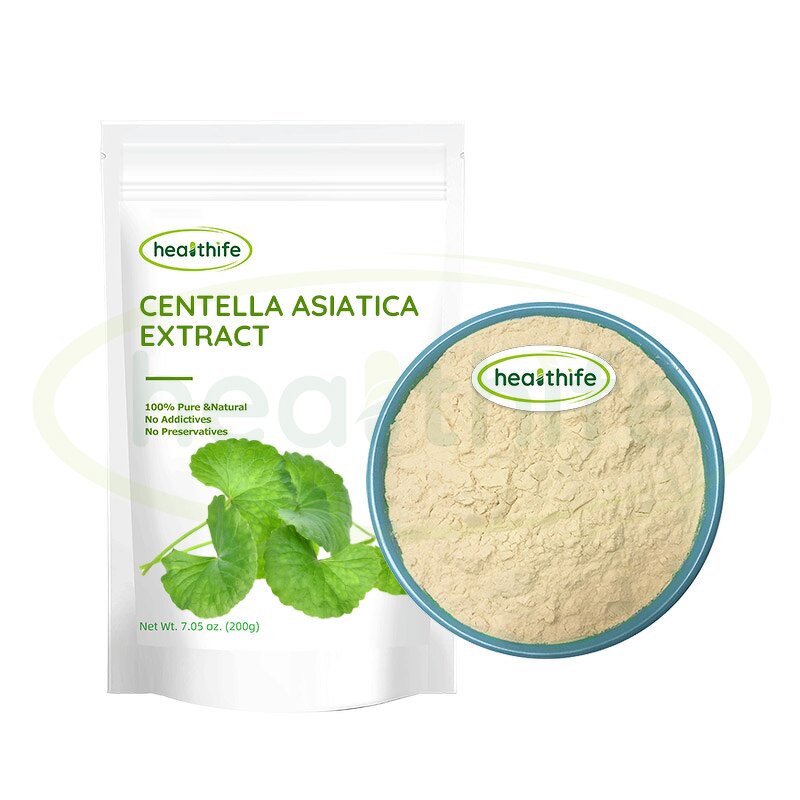 Centella Asiatica Extract Manufacturer - HPLC 10% Asiaticoside Powder