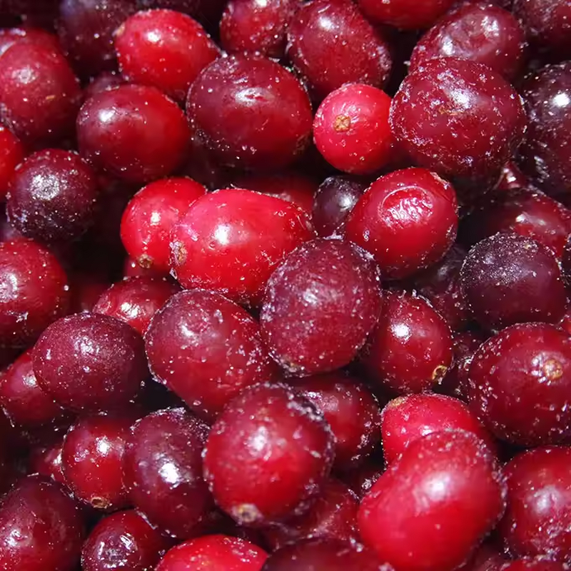 Cranberry Powder Manufacturer - Organic Factory Wholesale Supplement