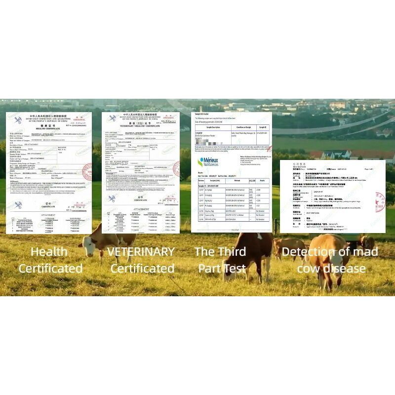 Beef Organ Powder Manufacturer - New Zealand Grass Fed NO BSE/TSE