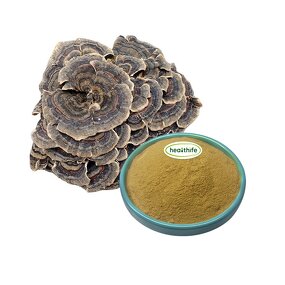 Turkey Tail Mushroom Powder - Coriolus Versicolor 80 Mesh Food Grade