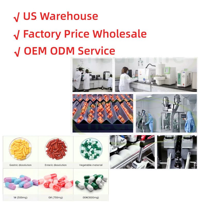 Wheat Germ Extract Powder Manufacturer - 0.2% Spermidine & Factory Direct