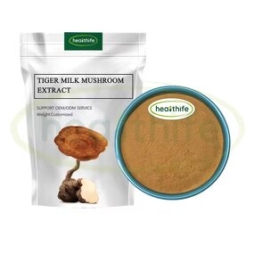 Tiger Milk Mushroom Extract Manufacturer - 30% Polysaccharides Lignosus