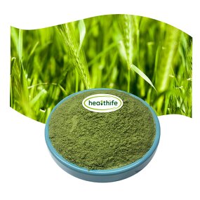 Barley Grass Powder Manufacturer - EU & USDA Organic Green Extract