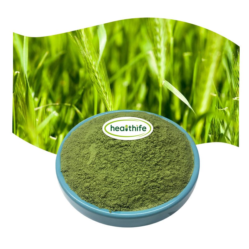 Barley Grass Powder Manufacturer - EU & USDA Organic Green Extract