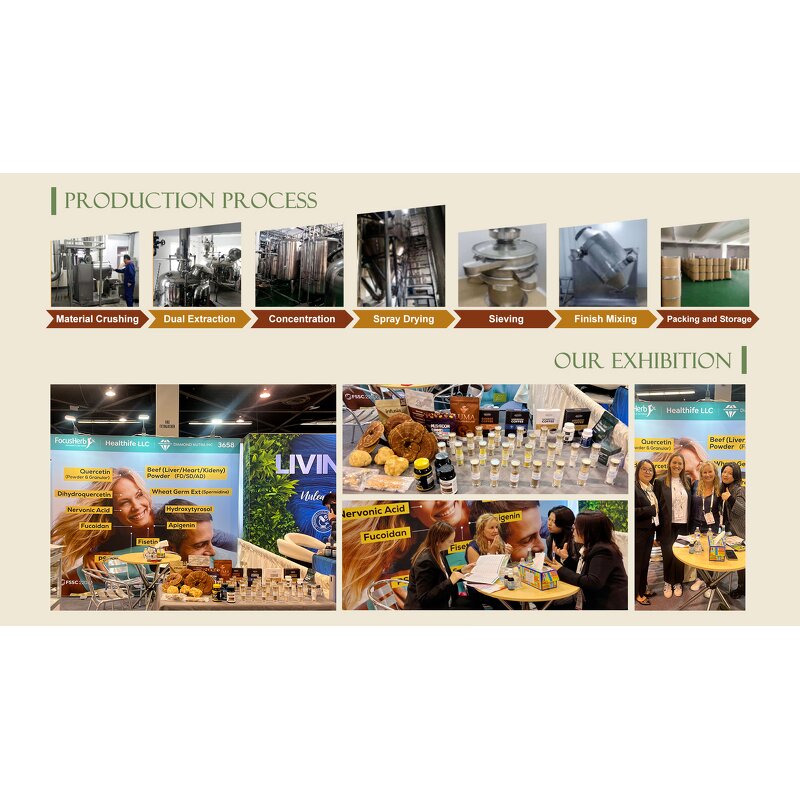 Oyster Mushroom Extract Manufacturer - 50% Polysaccharides 40% Beta Glucan